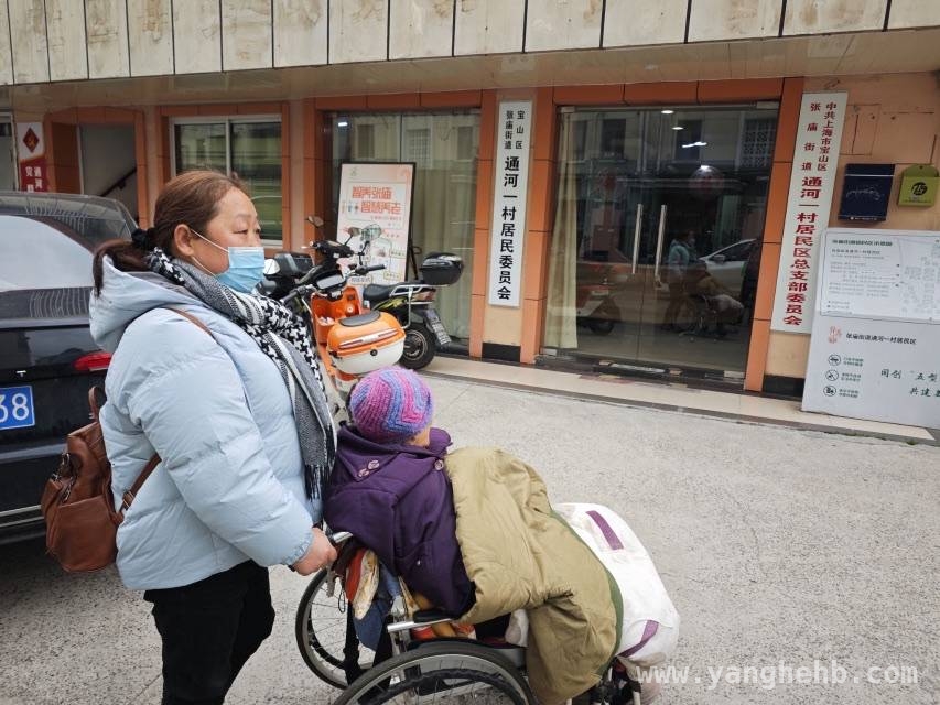 “智养张庙”助力百岁老人开启下楼新体验 张庙街道“智养”模式：圆百岁老人下楼漫步梦