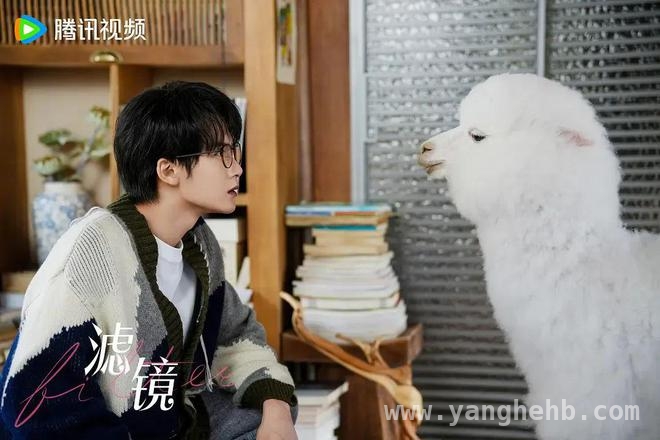 滤镜：打破颜值枷锁，传递正向爱情观 都市科幻爱情喜剧滤镜：搞笑背后藏着深刻现实