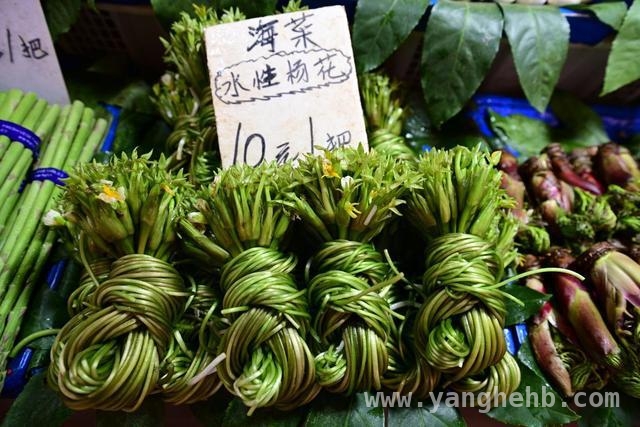 跟着直播尝鲜！昆明鲜花美食等你来品，昆明春日盛宴：鲜花入菜，开启舌尖浪漫之旅