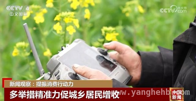 以增收促消费，〈提振消费专项行动方案〉发力 城乡居民增收行动：开启消费提振新篇章
