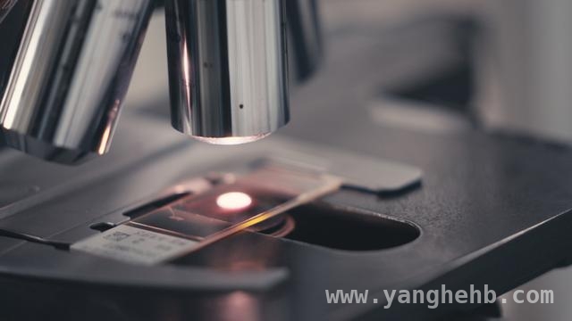 警惕不明发热，科普淋巴瘤危机 ：揭开不明原因发热背后的淋巴瘤真相