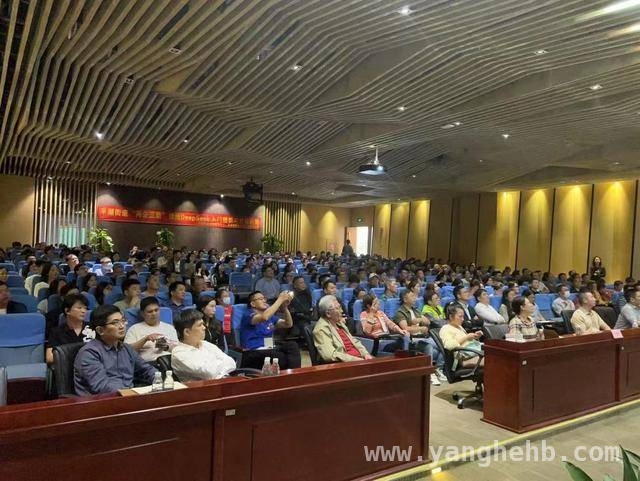 深圳平湖街道：以AI培训推动“两企三新”业务场景升级