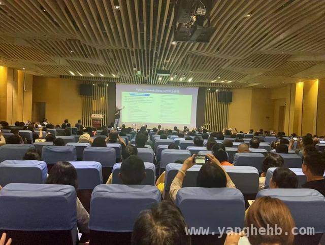 深圳平湖街道：以AI培训推动“两企三新”业务场景升级