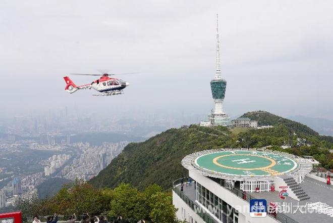 深圳梧桐山第十届毛棉杜鹃花会盛大启幕，解锁赏花新玩法，梧桐山毛棉杜鹃花会精彩不断，登山助力与低空赏花双体验