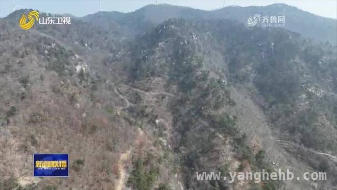 科学绿化助力，山东沂源森林“改头换面”
