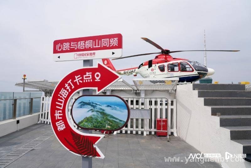 99元空中赏杜鹃，深圳梧桐山花会开启低空花游新时代