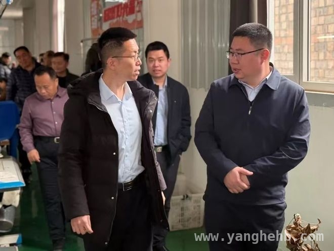成武乡村振兴考察之旅：开启合作与发展新篇章