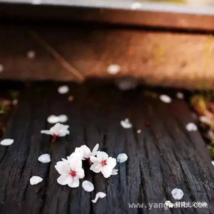 随遇而安，苏轼教会我们的人生哲学，无常人生，看苏轼如何随遇而安