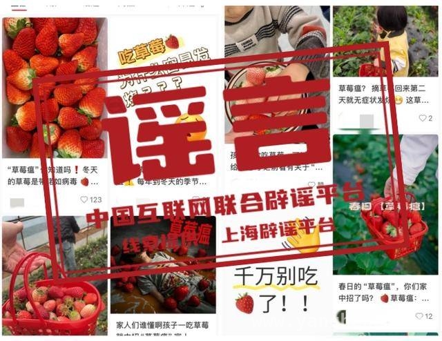 破解谣言迷雾：草莓、胰岛素、AI虚假图真相