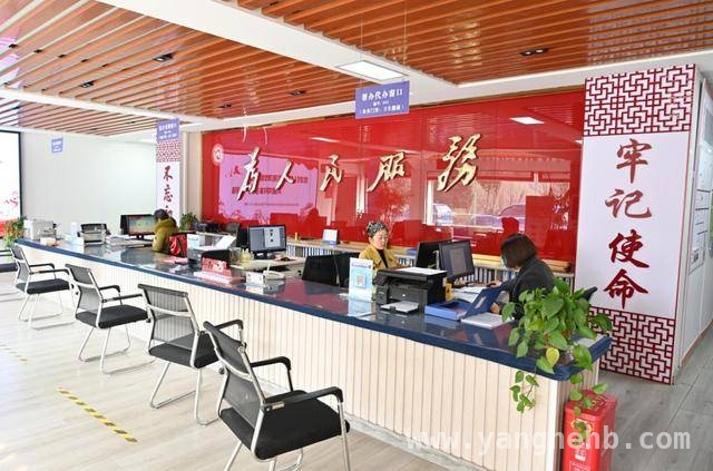 信阳：党建引领志愿服务绘就温暖画卷