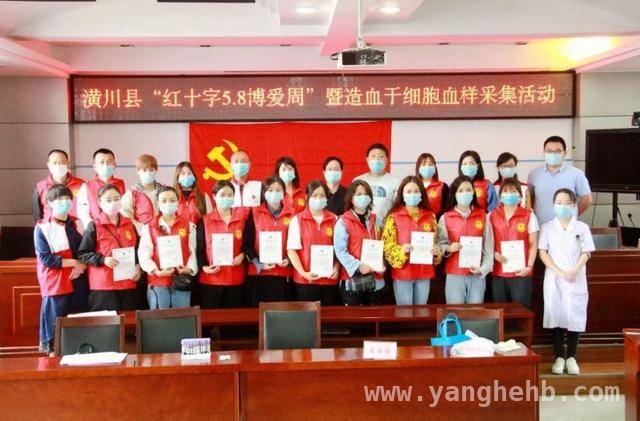 信阳：党建引领志愿服务绘就温暖画卷