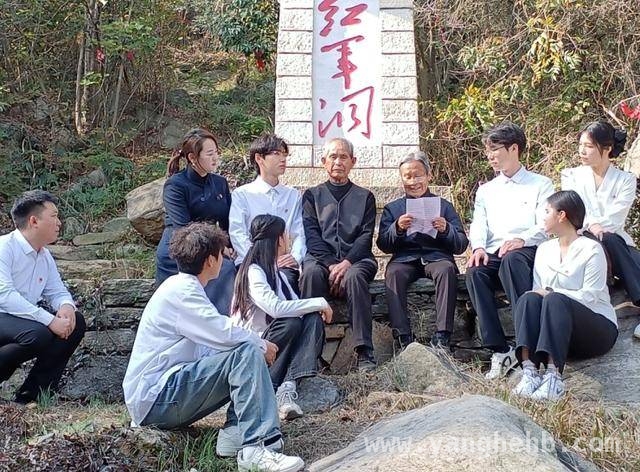信阳：党建引领志愿服务绘就温暖画卷