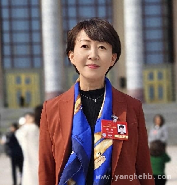 张慧调研云南法院，呼吁律师参与多元解纷助力基层治理，人大代表张慧：发挥司法职能，融入基层治理做实定分止争