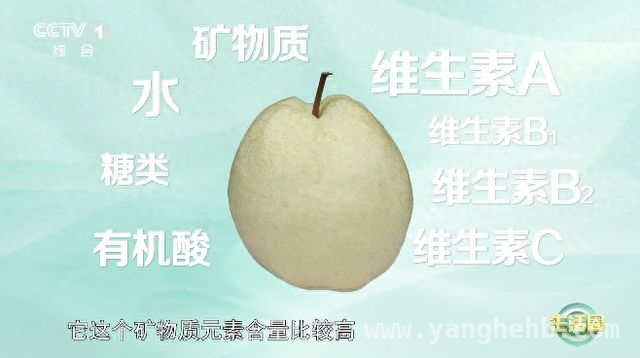 解锁春季水果密码，开启健康生活！