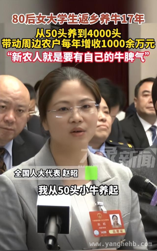 养牛女强人赵昭：4000头牛背后的真相与争议