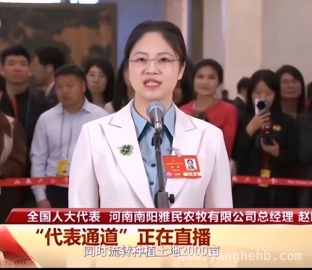 养牛女强人赵昭：4000头牛背后的真相与争议
