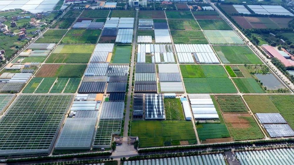 从种子到丰收：云南农业新质生产力的崛起之路，云南：以种业之“芯”，点亮高原特色农业之光