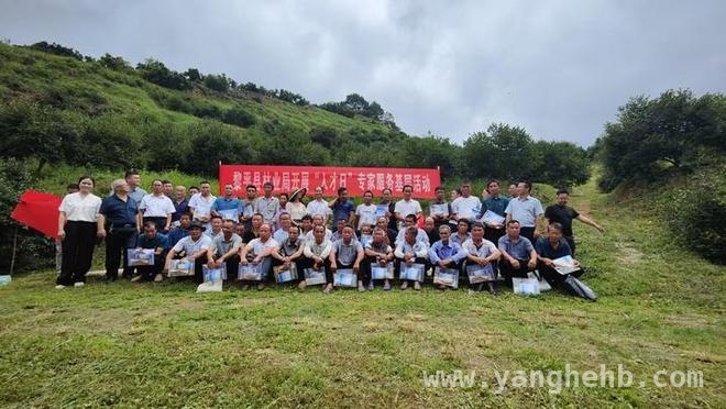 黎平县：以林业为笔，绘就绿色发展新画卷