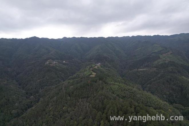 黎平县：以林业为笔，绘就绿色发展新画卷