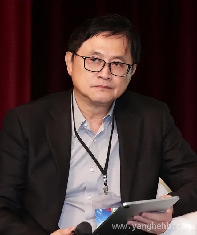 核电成救星？台专家指其可解电力供应与台电亏损难题