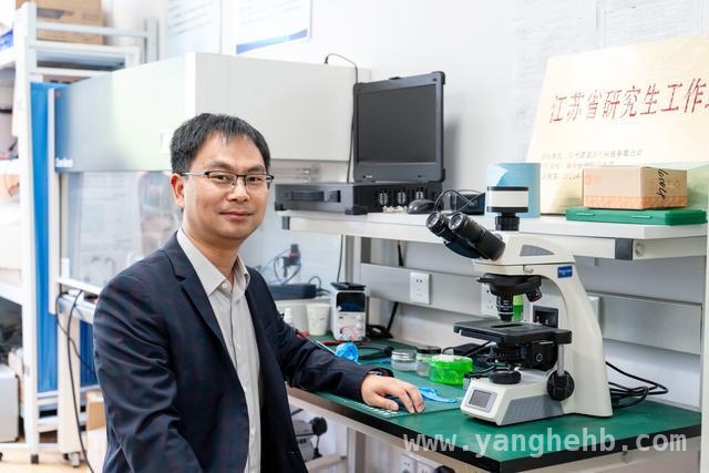 国产可穿戴肺功能成像仪：打破国外垄断，守护肺部健康