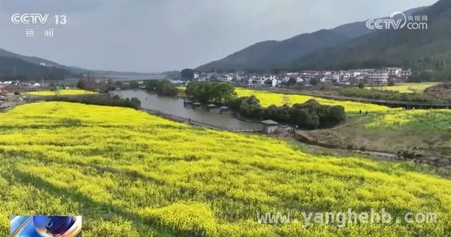 春日繁花盛景，多地旅游经济焕生机，赏花盛宴开启，多地借花经济激活乡村活力