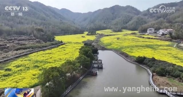春日繁花盛景，多地旅游经济焕生机，赏花盛宴开启，多地借花经济激活乡村活力