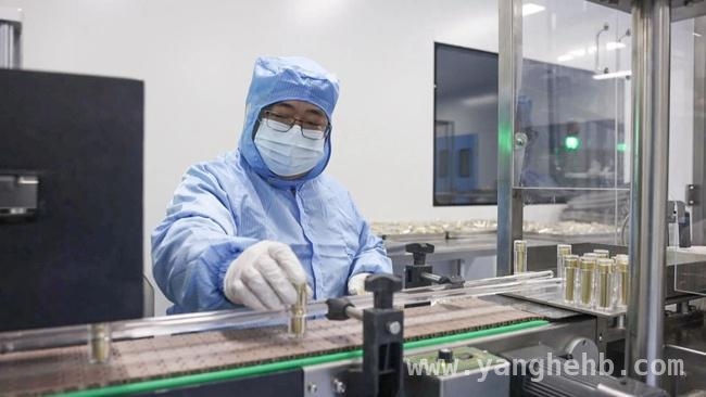 柳河多项目齐头并进，奏响经济发展强音