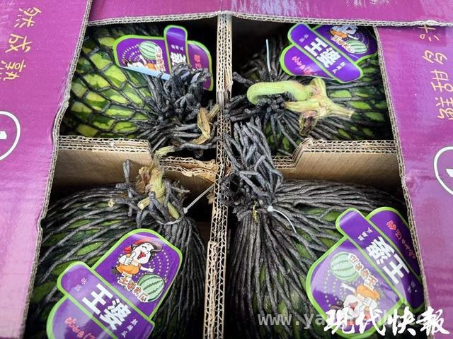 春日西瓜热，苏州水果市场提前“入夏”