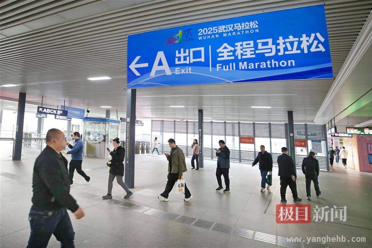 2025汉马当日地铁免费坐，樱花季地铁活动精彩纷呈