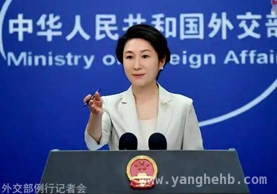 抗战胜利80周年，日本外交态度分析遭外交部明确回应，抗战胜利80周年，外交部谈日本外交态度相关问题