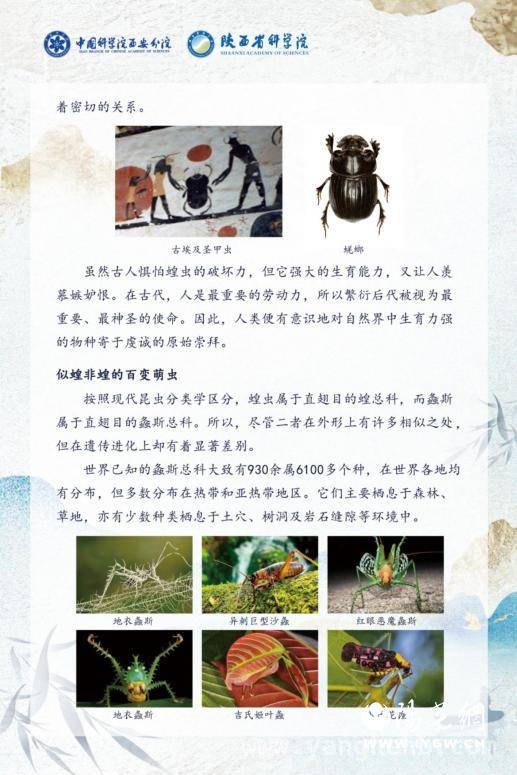 西安市育才中学“科技之春”活动：科技与人文的精彩碰撞