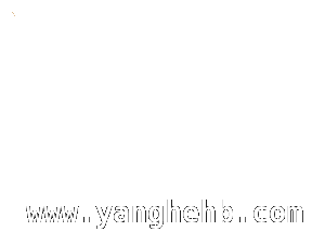 多管齐下！才溪法庭推进高额彩礼协同治理，五联聚力，才溪法庭打造高额彩礼治理新模式