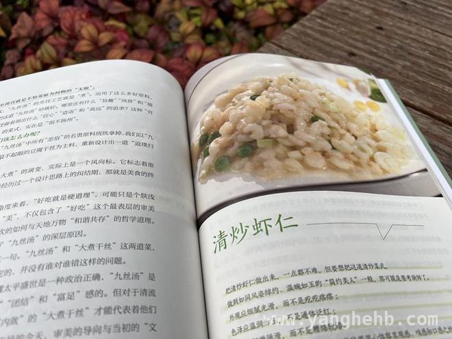 品味淮扬：带你深度品味淮扬美食文化，品味淮扬：解锁淮扬菜的艺术与文化