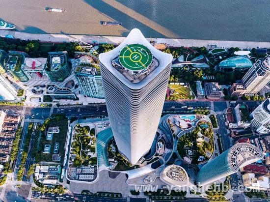 3月15日起条例护航，上海古树名木“明星”登场，上海古树“重量级大咖”亮相，古树名木保护条例已施行