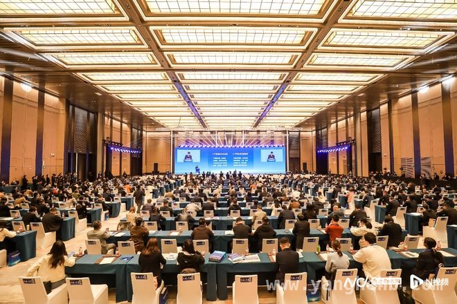 南沙优化法治化营商环境，政企双向奔赴共促发展