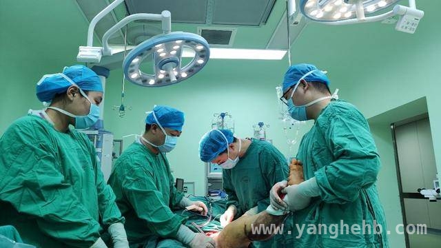 车祸重伤险失左腿，988医院妙手回春创造生命奇迹，988医院9小时极限营救，李阿姨严重创伤左腿失而复得！