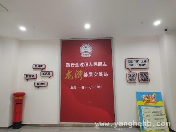 涪陵荔枝街道：全过程人民民主基层实践站的创新之路 荔枝街道：全过程人民民主基层实践站绘就基层治理新画卷