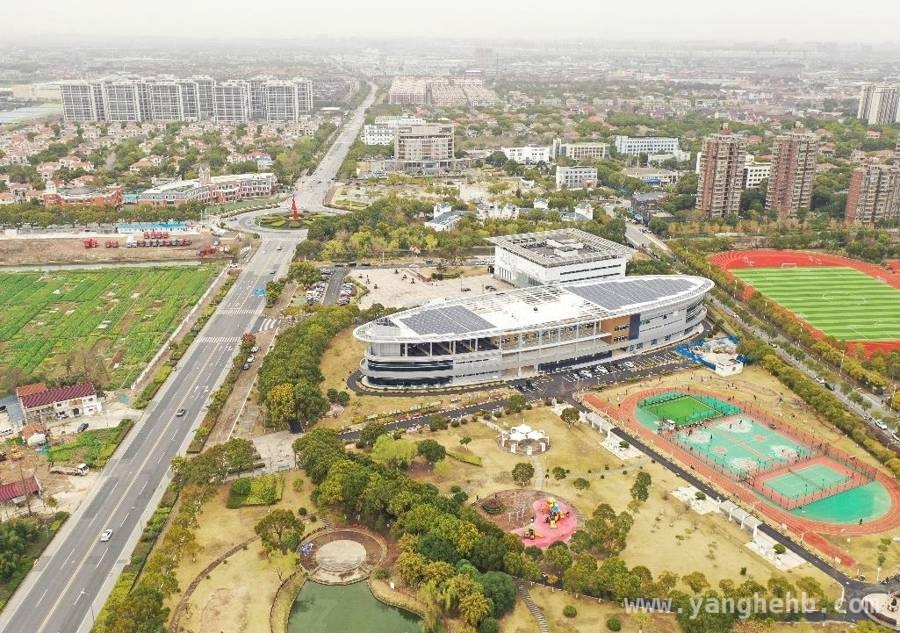 从浦东出发，看公共文化空间如何走向全国 浦东“一赛一会”：推动公共文化创新，输出宝贵经验