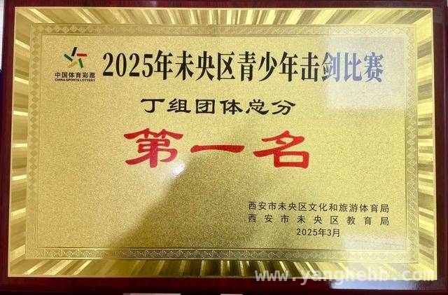 未央区青少年击剑赛，西航三校小剑客大放异彩 西航三校击剑队：未央区比赛中绽放光芒