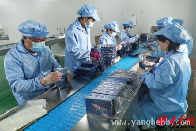 鲁西新区：牡丹产业借科技之力绘就新蓝图，菏泽牡丹：传统花卉在科技浪潮中开启新征程