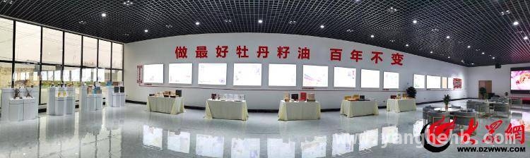 鲁西新区：牡丹产业借科技之力绘就新蓝图，菏泽牡丹：传统花卉在科技浪潮中开启新征程