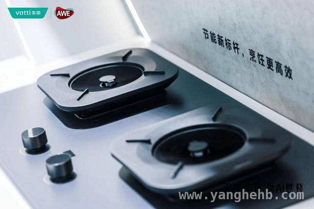 AWE2025上的华帝：用创新重塑厨电行业价值链，AWE2025华帝大放异彩，引领厨电技术新潮流