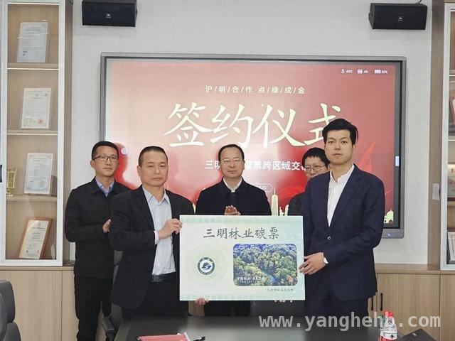 “爱心碳”助力，杨浦沙县“绿色交易”赋能乡村生态财富转化，沪明“绿色交易”：林业碳汇跨区域交易激活乡村振兴新动能