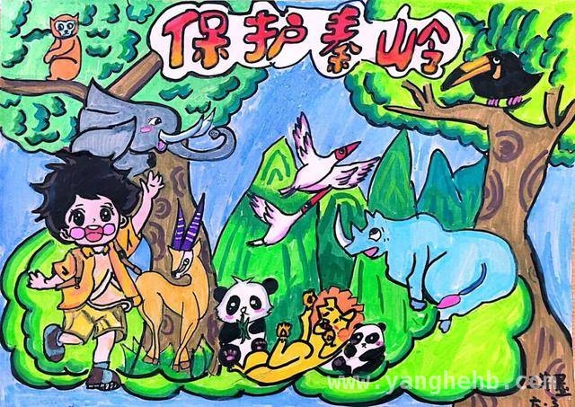 西安市浐灞十六小开展秦岭保护主题活动，共筑绿色未来