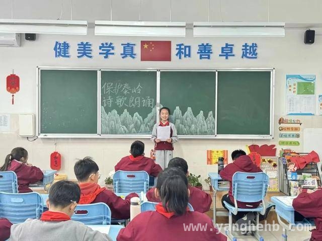 西安市浐灞十六小开展秦岭保护主题活动，共筑绿色未来