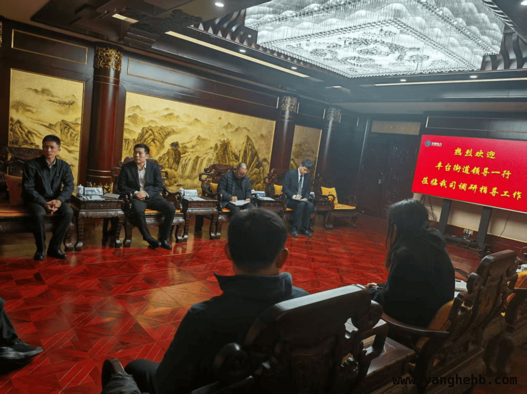 丰台街道走访华源电力，为区域经济发展注入新动能，3月18日：丰台街道与华源电力开启沟通发展新篇章