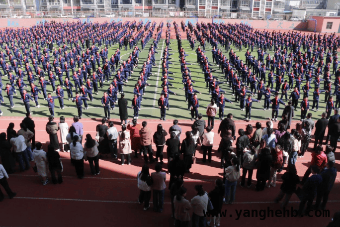 莘县实小教学活动：落实“双减”，推动五育融合发展 聚焦莘县实小教学活动：“双减”与五育融合的教育新篇