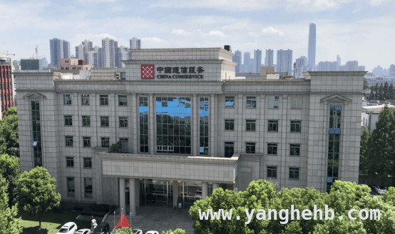 武广：在运营商行业深耕，铸就精彩职业生涯
