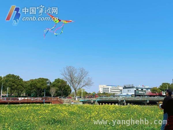 宁波春分升温春意闹，冷空气将至需添衣，近三十年大数据：春分升温最猛，宁波春景美食与降温同在